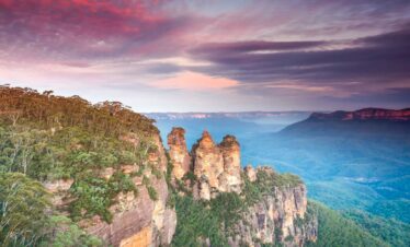 Sydney Discovery