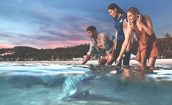 destination-sunshinecoast