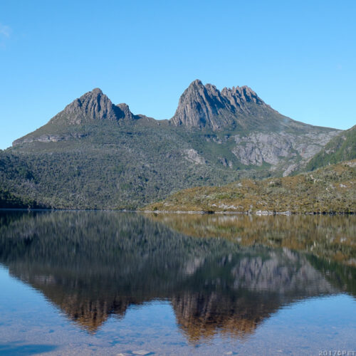 Tasmania Premium